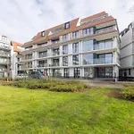 Lane The Park - 0004 + Box 41 Apartman *